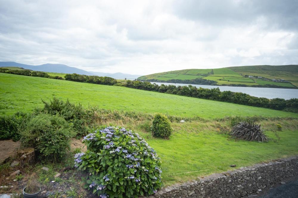 Hotel Half Door House Dingle Esterno foto